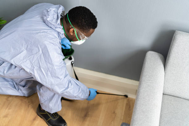 Best Commercial Pest Control  in Eastern Goleta Valley, CA